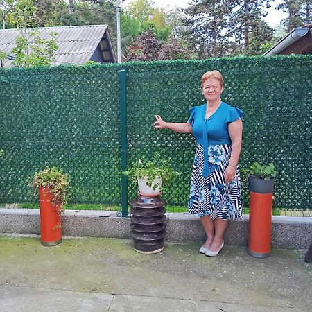 Milica Apartmani Врдник Экстерьер фото