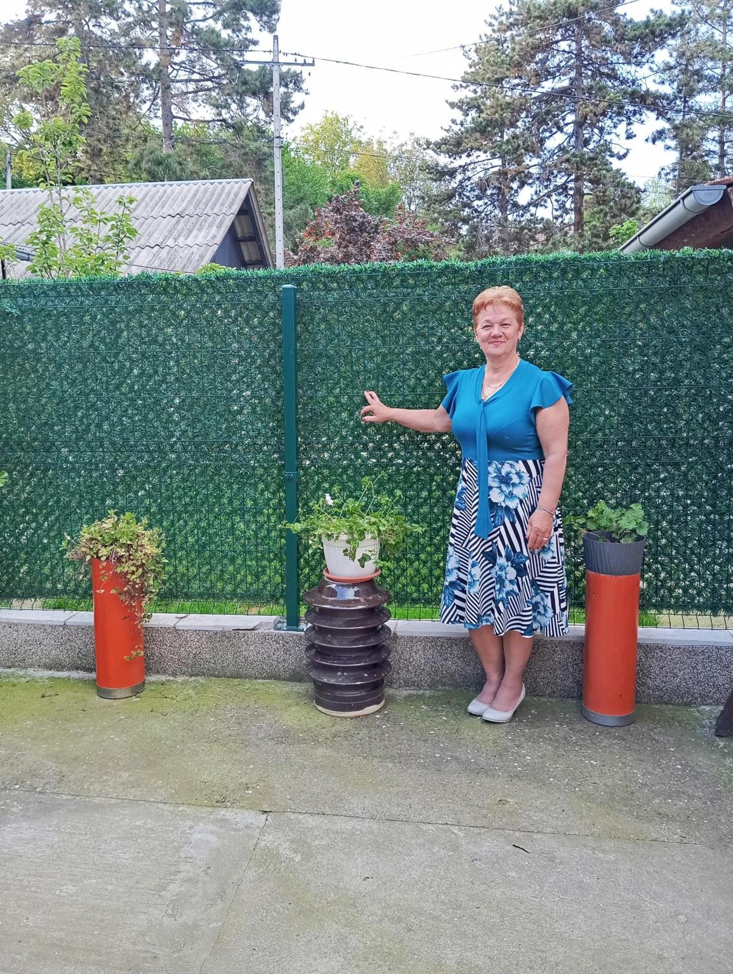 Milica Apartmani Врдник Экстерьер фото