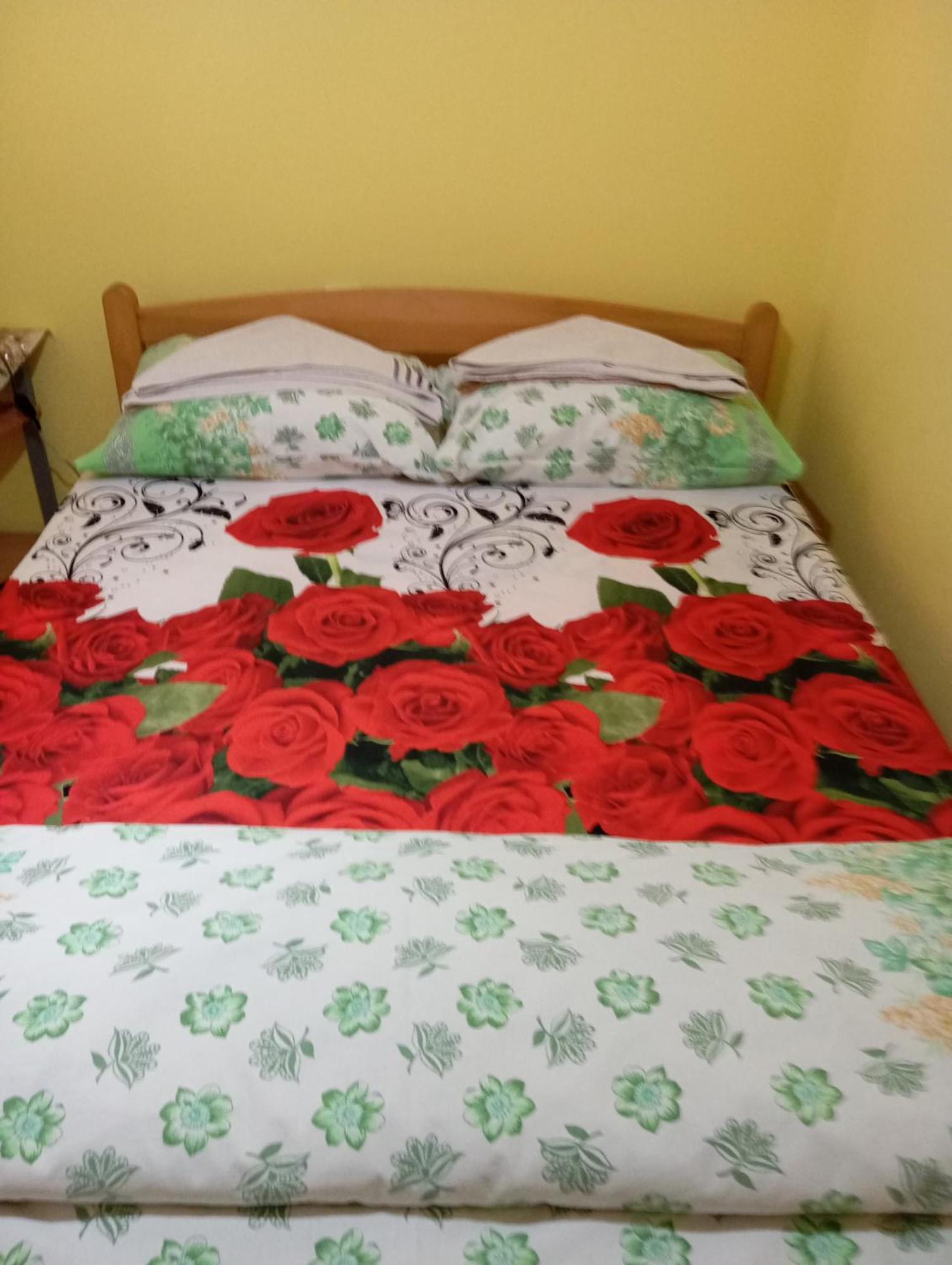 Milica Apartmani Врдник Экстерьер фото