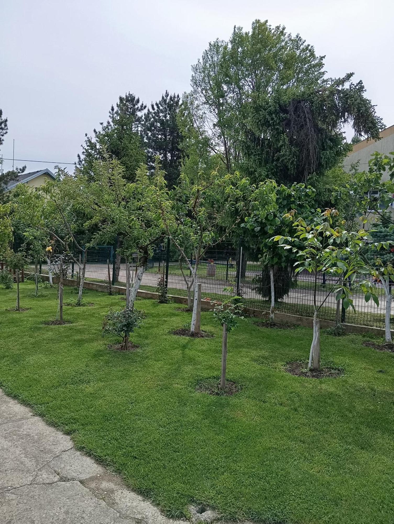Milica Apartmani Врдник Экстерьер фото